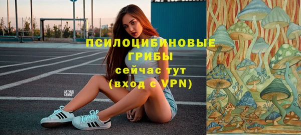 ешки Алексеевка